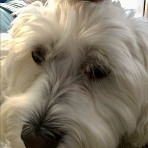 Meet your Posher, Laurie